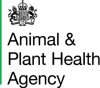 Official Logo