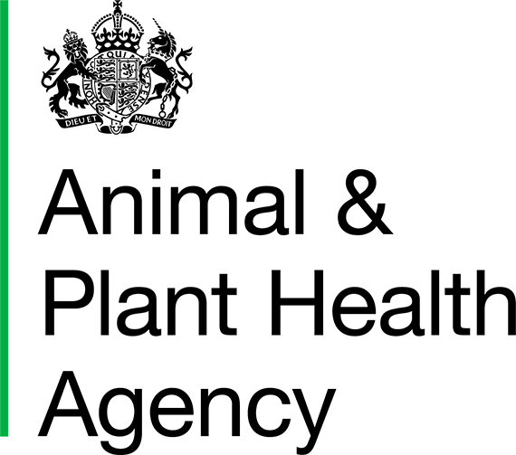 Official Logo