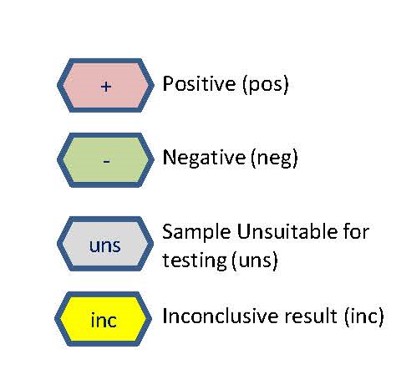 Key For BSE And Scrapie Diagnostic Flowchart