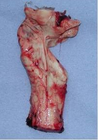 Figure 7A